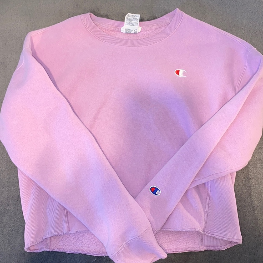 Lilac champion cropped sweatshirt size small,